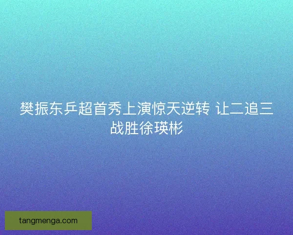 樊振东乒超首秀上演惊天逆转 让二追三战胜徐瑛彬
